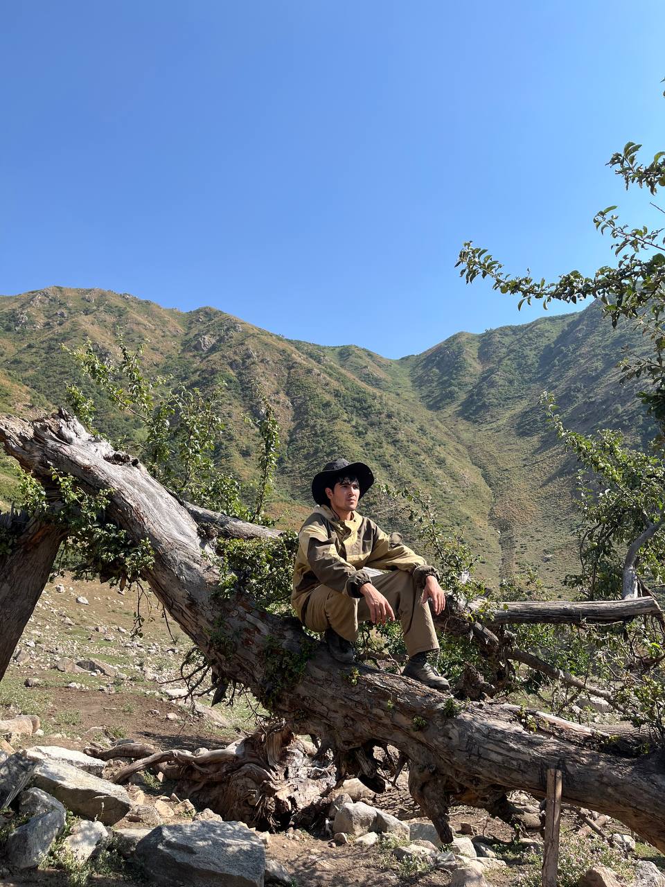 Reforestation in Rasht highlands