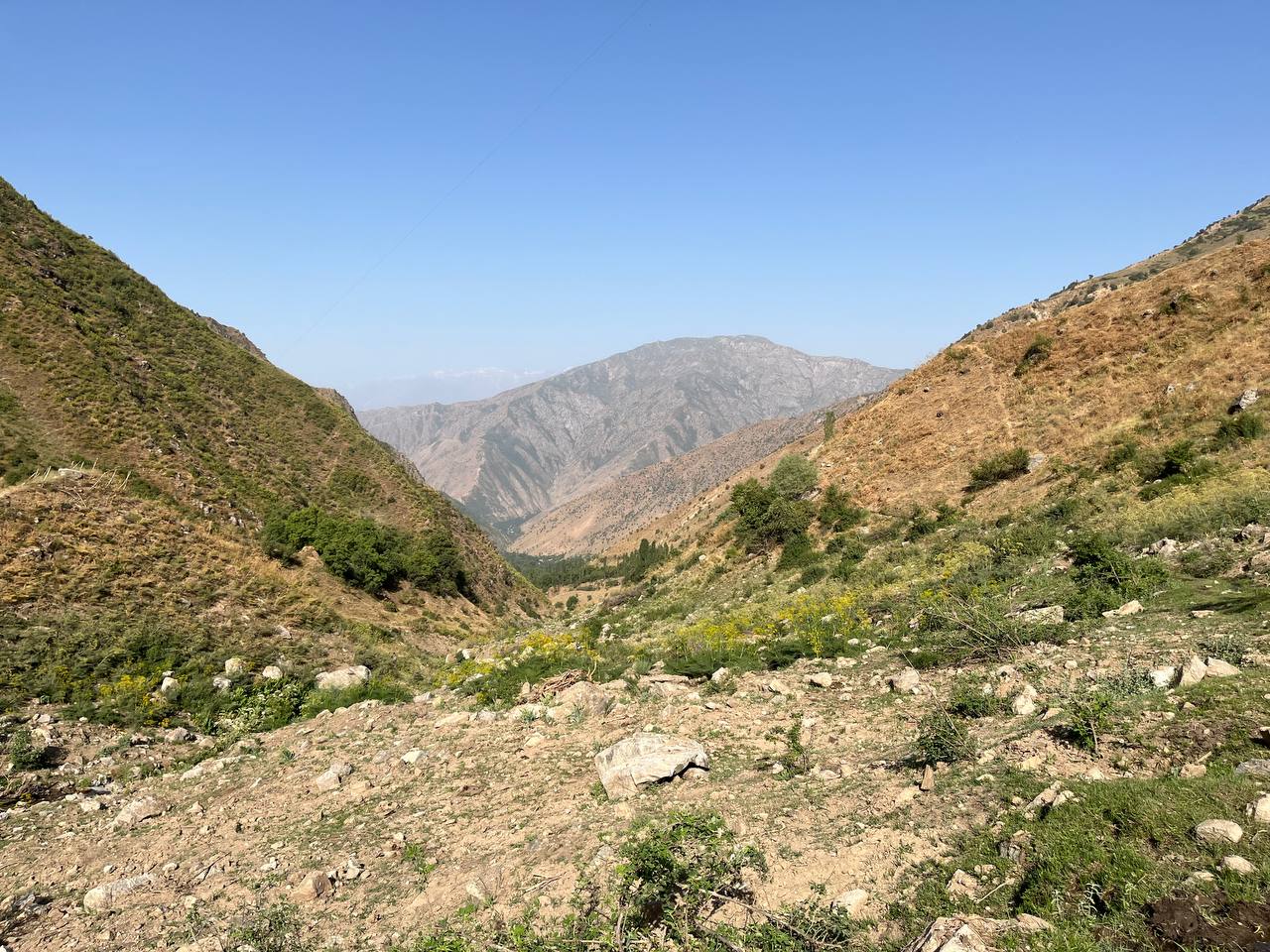 Stream in mountain valley