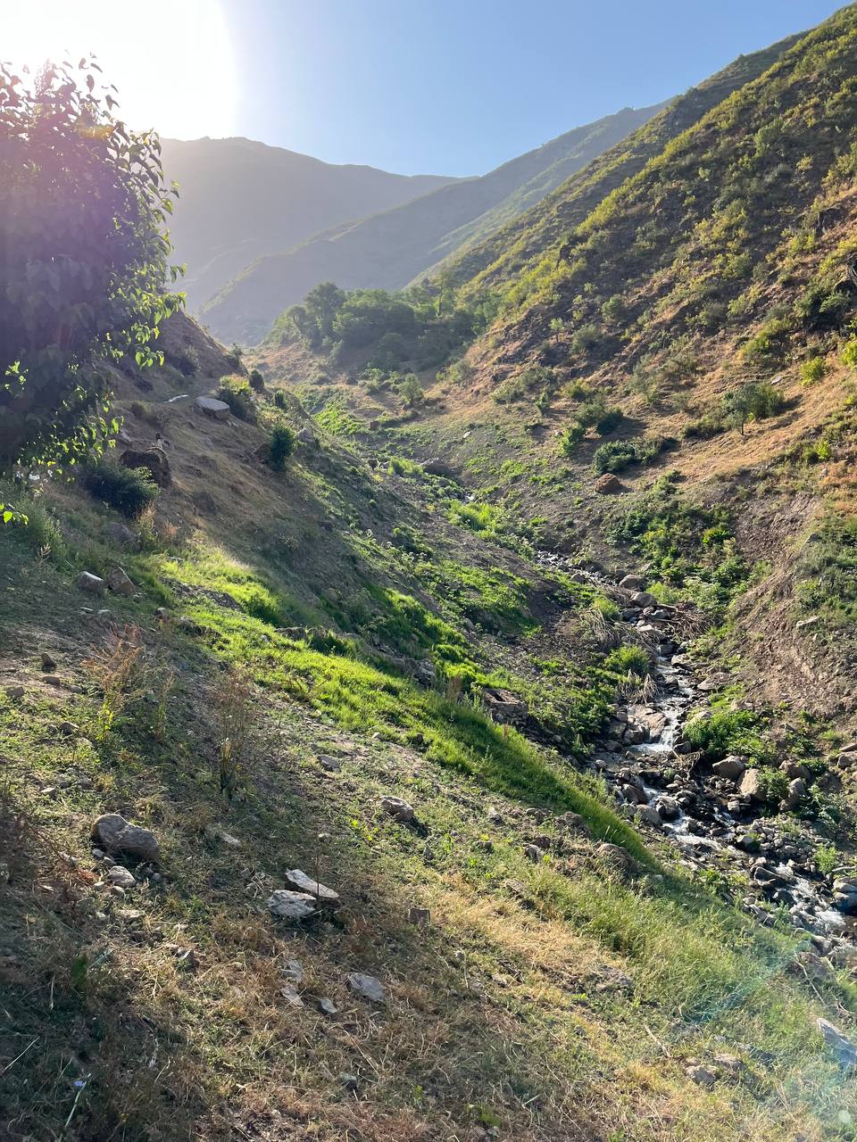 Stream flowing through Kamarob Gorge